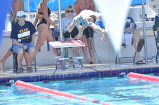 Enlarge photo 629