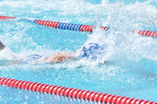 Enlarge photo 632