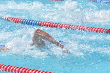 Enlarge photo 633
