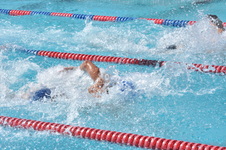 Enlarge photo 635