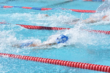 Enlarge photo 637