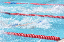 Enlarge photo 639