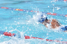 Enlarge photo 643