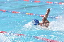 Enlarge photo 645