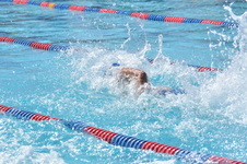 Enlarge photo 649