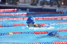Enlarge photo 716