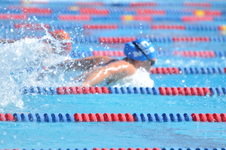 Enlarge photo 725