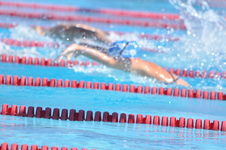 Enlarge photo 733