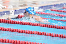 Enlarge photo 735