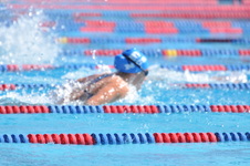 Enlarge photo 741