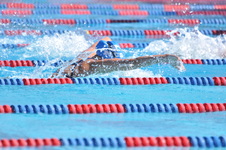 Enlarge photo 743