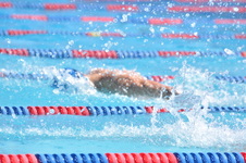 Enlarge photo 765