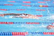 Enlarge photo 766