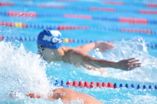 Enlarge photo 769