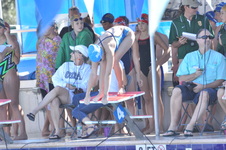 Enlarge photo 785
