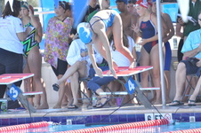 Enlarge photo 790