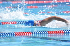 Enlarge photo 796