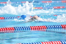 Enlarge photo 799