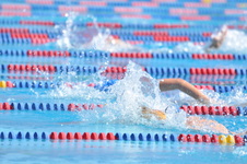 Enlarge photo 800