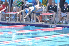 Enlarge photo 829