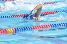 Enlarge photo 835