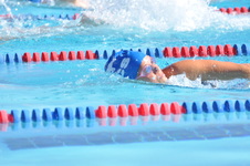 Enlarge photo 838