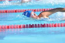 Enlarge photo 841