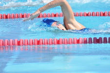 Enlarge photo 843