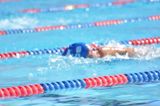 Enlarge photo 846