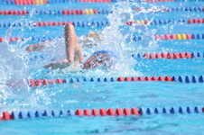 Enlarge photo 881