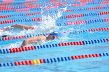 Enlarge photo 890