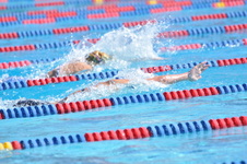 Enlarge photo 891