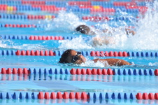 Enlarge photo 910