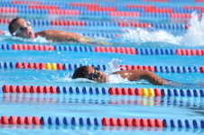 Enlarge photo 923