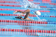 Enlarge photo 929