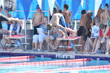 Enlarge photo 935