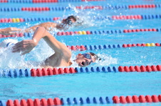 Enlarge photo 947