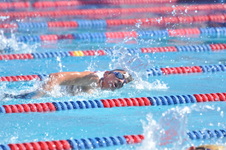Enlarge photo 953