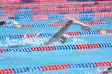 Enlarge photo 954