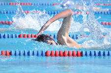 Enlarge photo 959