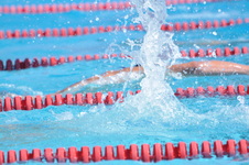 Enlarge photo 962