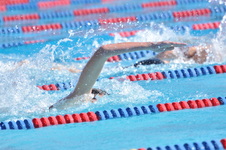 Enlarge photo 965