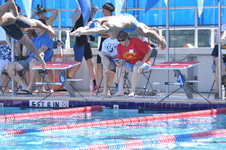 Enlarge photo 973