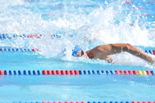 Enlarge photo 977