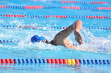 Enlarge photo 983