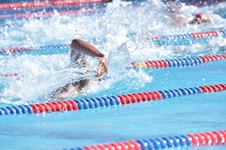 Enlarge photo 985