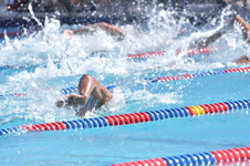 Enlarge photo 986
