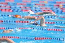 Enlarge photo 991