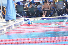 Enlarge photo 1022