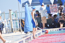 Enlarge photo 1029